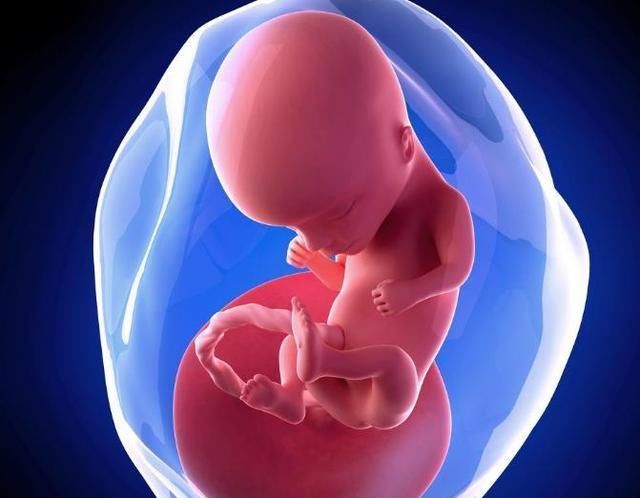 真的|“空孕囊”真的只有胎停育一种结果吗？也许还有另一种结果……