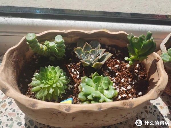 衣物|打造理想家——让我的小屋充满温馨感的十件好物分享