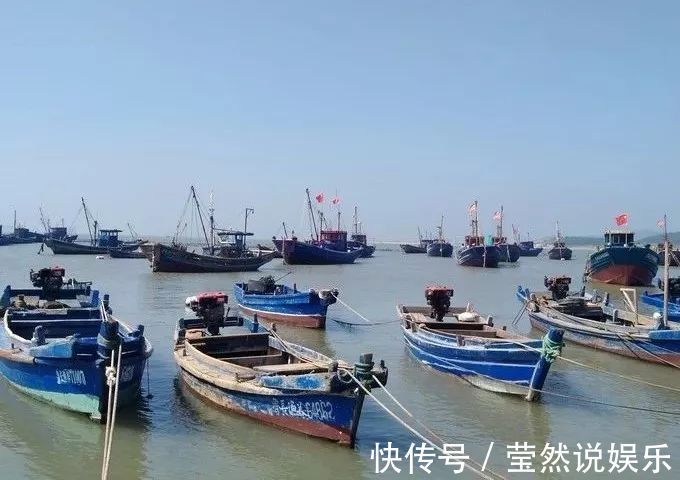 万顷松涛|喜欢安静的人，来这20个地方就对了。