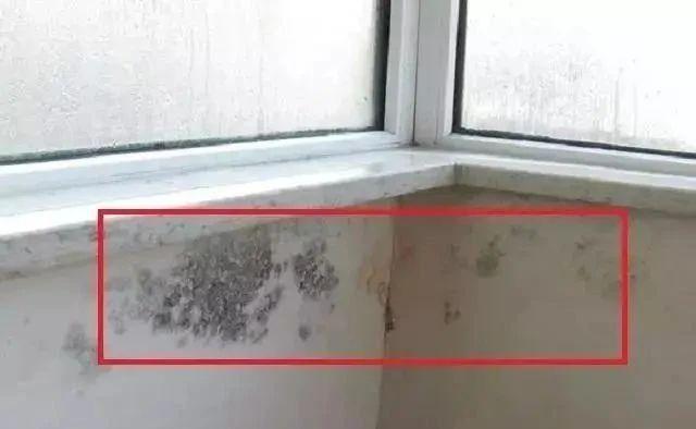 瓷砖|40年师傅酒后吐真言:业主就是愣头青!这12个装修坑,无人肯定