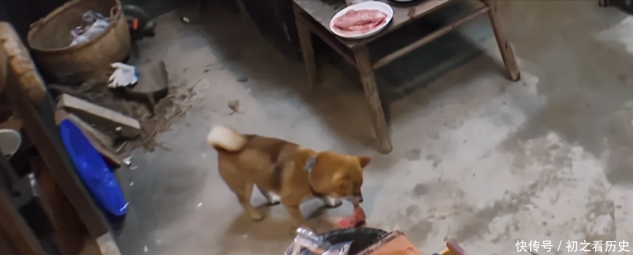 牛肉 《向往的生活》现高档牛肉引质疑,返璞归真是虚名,网友:真讽刺