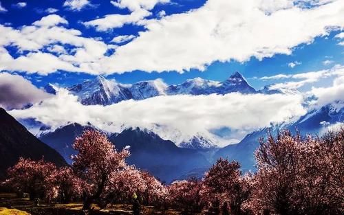 雅鲁藏布大|中国最美山峰