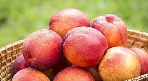 不想身材臃腫，多吃的好食物，消除自由基，預防衰老，美容肌膚