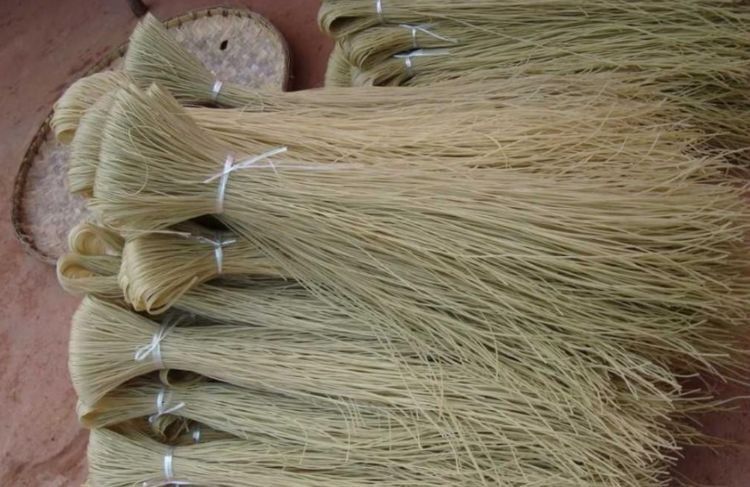 红薯粉怎么挑？粉条作坊大婶：看这4点，远离假粉条，好吃又营养