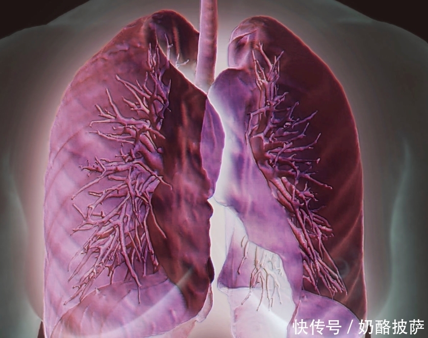 身体|肺好不好,看身体5个表现!远离三烟,多吃三白,肺会慢慢变好
