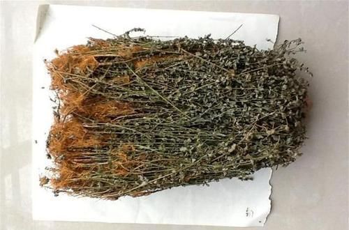 血液循环|女人有子宫肌瘤不要慌,记得多吃这几物,助你活血化瘀养子宫