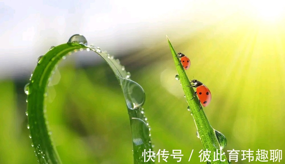 老伴|3个年过75岁的老人坦言：人到晚年，连死都不怕，唯独怕3件事