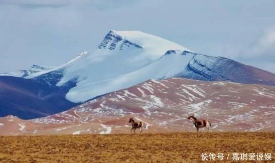 老年|生命禁区 中国四大无人区