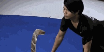 |搞笑GIF:嫂子为了让大哥戒烟 使尽了她浑身招数