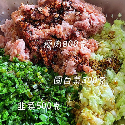 猪肉馅|韭菜猪肉馅饺子