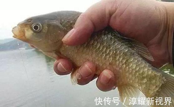 鱼情|钓鱼时的爆护配方真的存在吗，这些因素缺一不可!