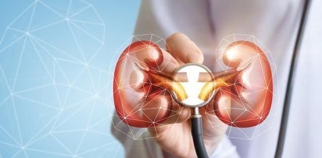 降压|高血压病友不想“肾早衰”,拖累下半生!降压过程中5点别大意