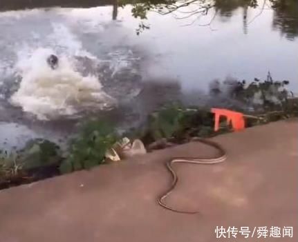 小伙河边钓鱼!突然上面掉下个东西，扭头一看，险些丧命