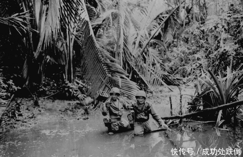 老照片|15张二战太平洋战场老照片:血战新几内亚