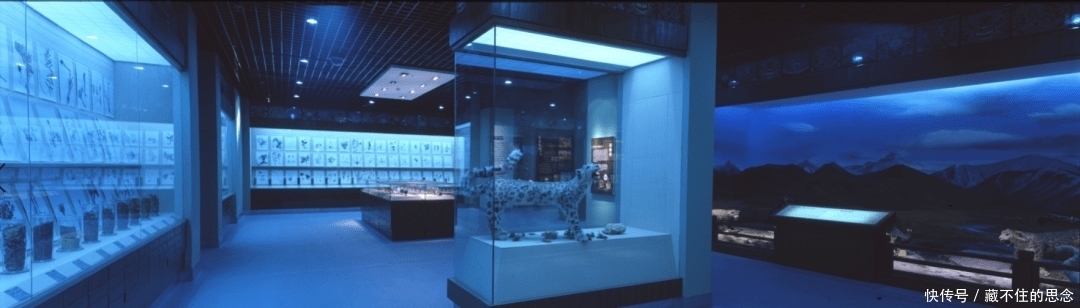 青海藏医药文化博物馆入选国家一级博物馆,周末可以安排上了!!