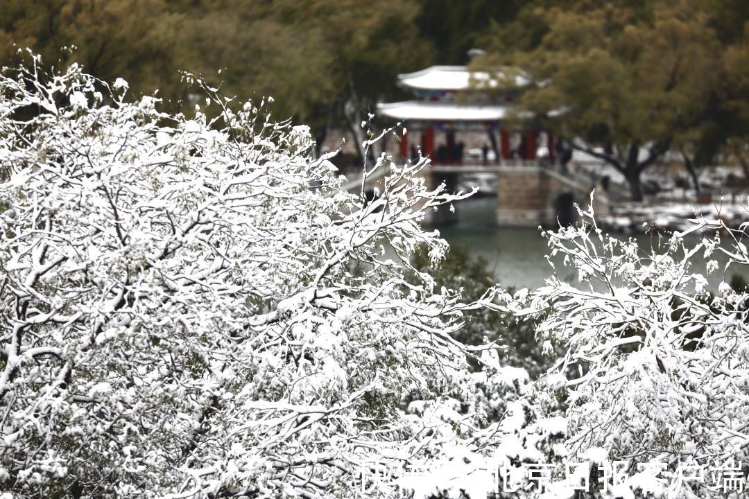 美景|立冬恰逢初雪，北京号带您“云”赏雪后美景