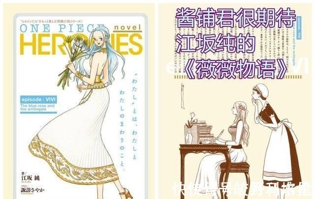 薇薇|海贼王官方情报尾田让薇薇穿上和之国武士铠甲,变成三刀流剑士