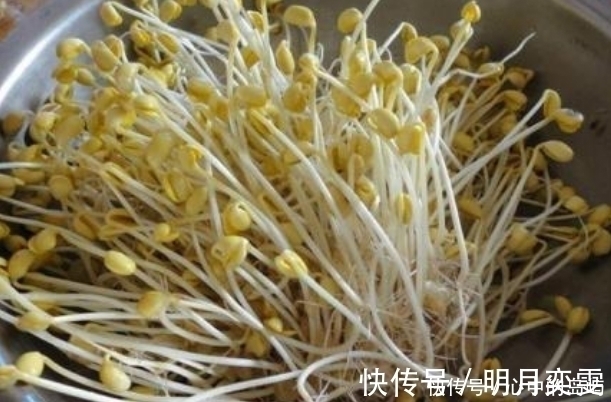 此物|黄豆芽和此物一起炒，湿气没了，肝也干净了，给身体来个大扫除