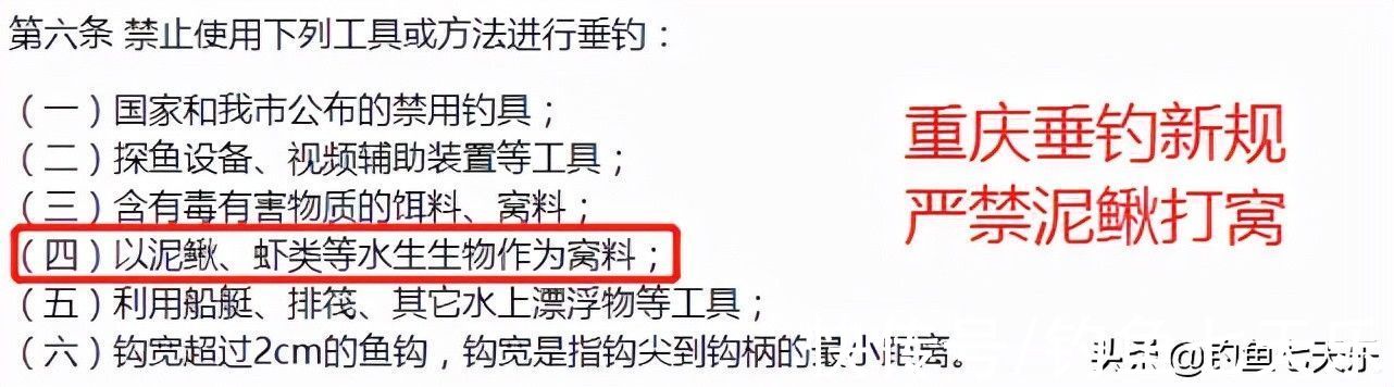 重庆垂钓新规来了，对泥鳅钓鱼严加管控！网友：“泥鳅党”要凉了