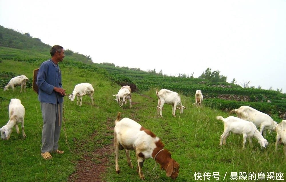 宁夏村民发现“神秘洞穴”,面积3000平米,到底是拿来干嘛的?