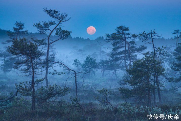 玉楼春·尊前拟把归期说$欧阳修的这首词,寥寥数语,便把离别之情写得扣人心弦
