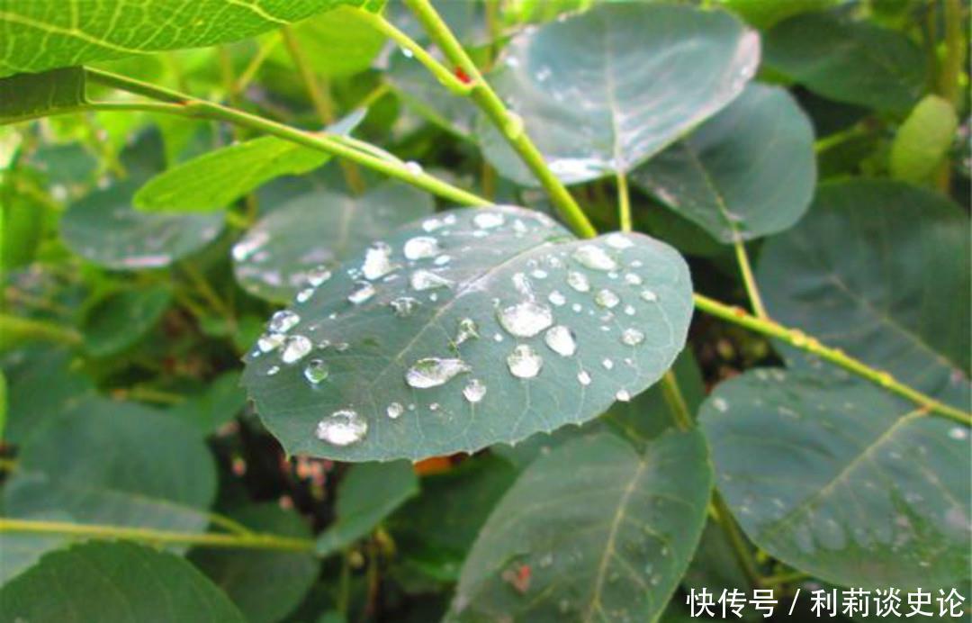  写出|秦观这首词连苏轼都服气，美得如诗如画，写出了不一样的春色美景