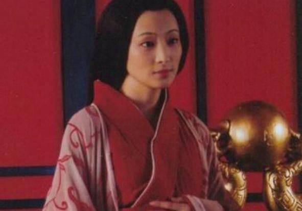 公主|卫长公主，明明是汉武帝和卫子夫最疼爱的女儿，为何却被说一生凄惨？