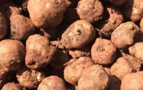 食物|糖尿病“最怕”的4种食物，再穷也要经常吃，或血糖渐渐降下来