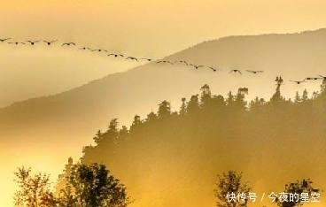 十五首描写故乡的古诗词,句句情深,哪一首让你感慨万千