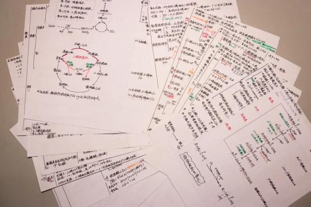 大学|听说，学霸会“传染”