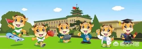 江苏南京都有哪些好的大学，大学怎么样？