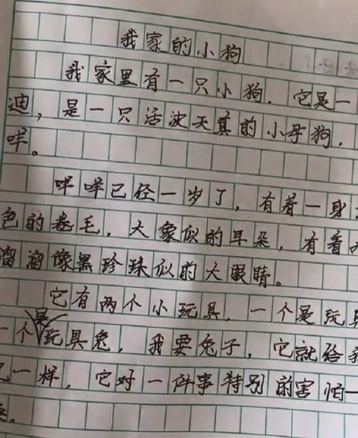 毛病|小学生写作文套路满满，篇篇结尾点题，家长：没毛病