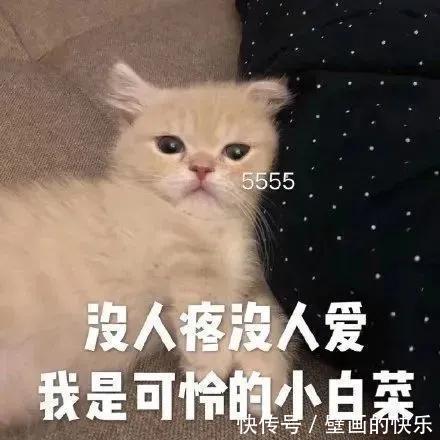 |搞笑图集:大学信息采集的黑发要求,逼疯校门口的洗发师