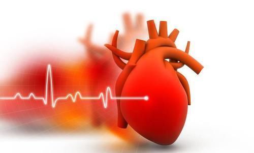 心跳快好还是心跳慢好?心跳多少更长寿?超了这个数最好看医生