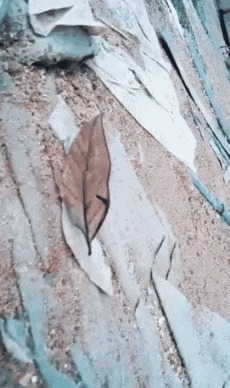 |搞笑GIF：难怪这妹子的做的东西味道十足的！原来如此