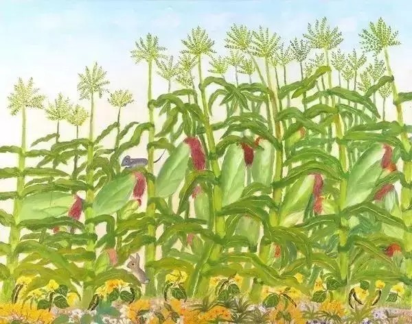 塔莎#3位70岁奶奶用绘画告诉你们:人生永远没有太晚的开始!共勉