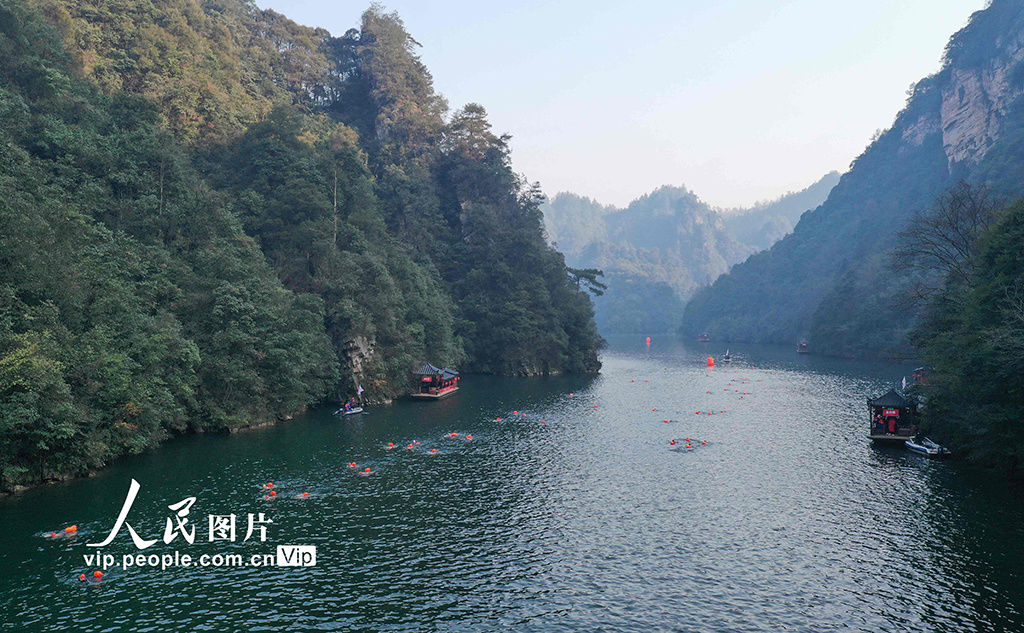 爱好者|湖南张家界：冬泳爱好者逐浪山水间