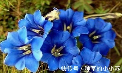 成分|超市角落被“冷落”的洗面奶,遇到千万别手软,比大牌还好用