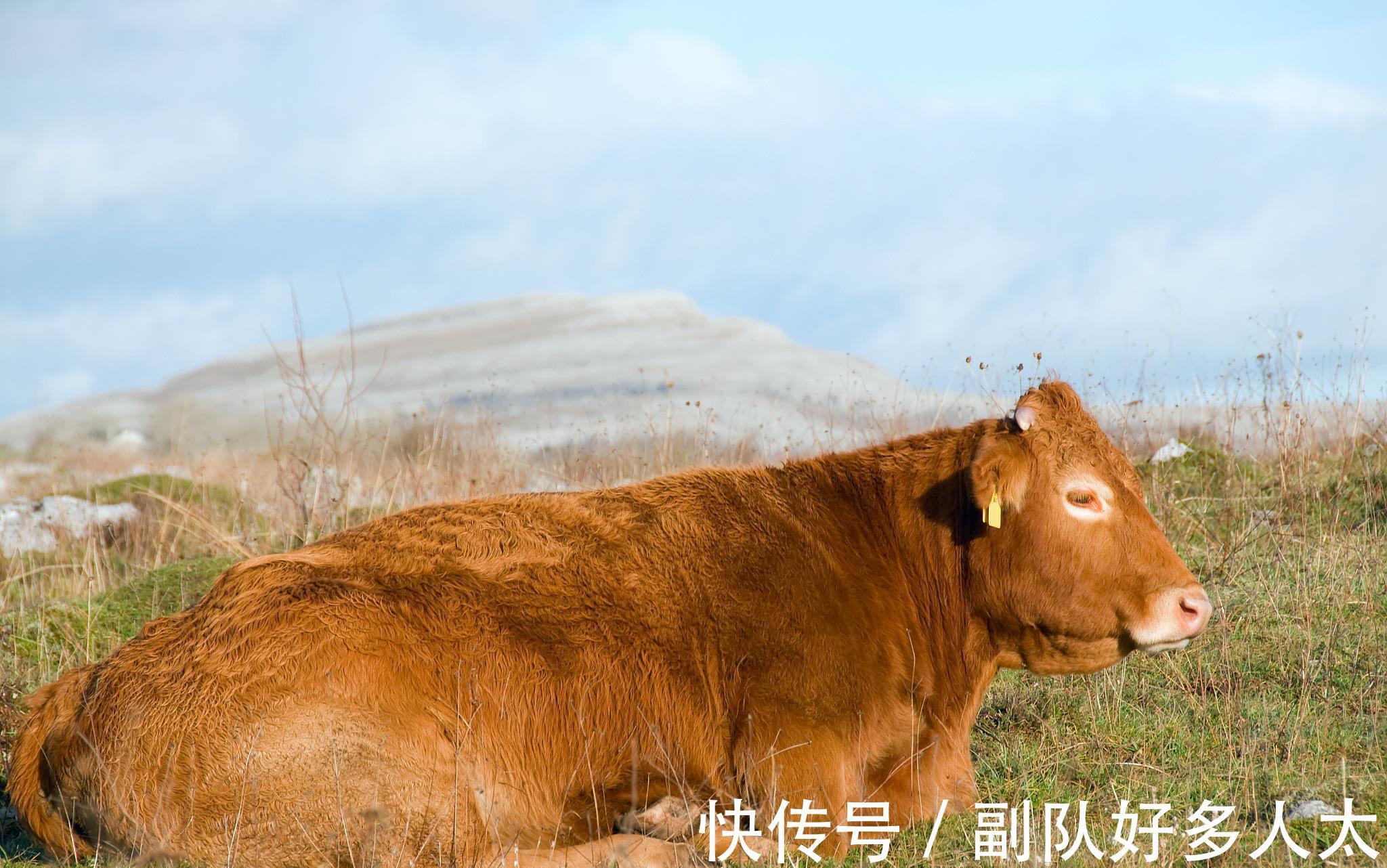 日子|未来15天，三大生肖，全家享福，富贵无忧，日子越来越顺利