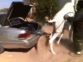 |搞笑GIF:护士小姐姐,快去工作吧,你还没下班呢,这么就玩起来了,这样不好