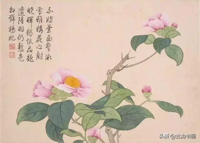 西画|没有笔力做底，国画只是张皮