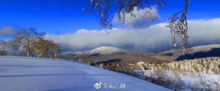 凤凰山|雪深超一米！黑龙江凤凰山高山雪原风姿初现