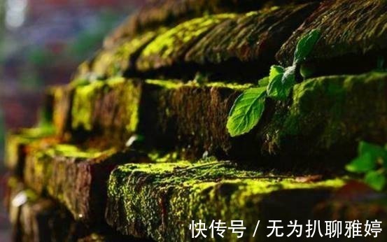 家运#老祖宗:再怎么富裕,这四件“愚善”不要碰,否则家运就败了