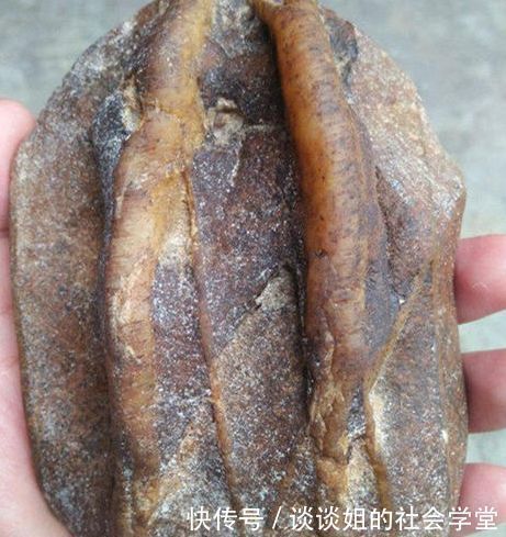 奇特|男子捡到“奇石”,模样奇特形状怪,让人大开眼界