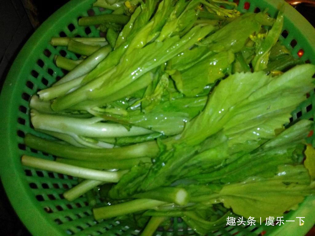 减肥期间|晚餐多吃五种蔬菜,刮油减脂瘦肚子,早上准时上厕所,月瘦十斤