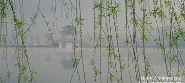 转身|皇上出一上联,考生答不出转身就走,皇上:别走,你就是这届状元