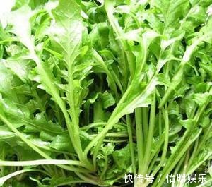 营养价值|多给家人吃以下几种野菜,营养价值非常的高,早知早受益