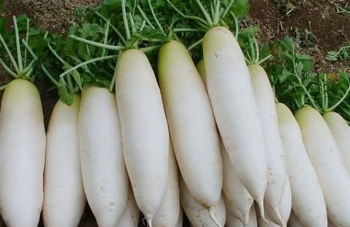 预防|想长寿先会吃常吃三种食物,延缓衰老、排毒养颜,预防心血管疾病