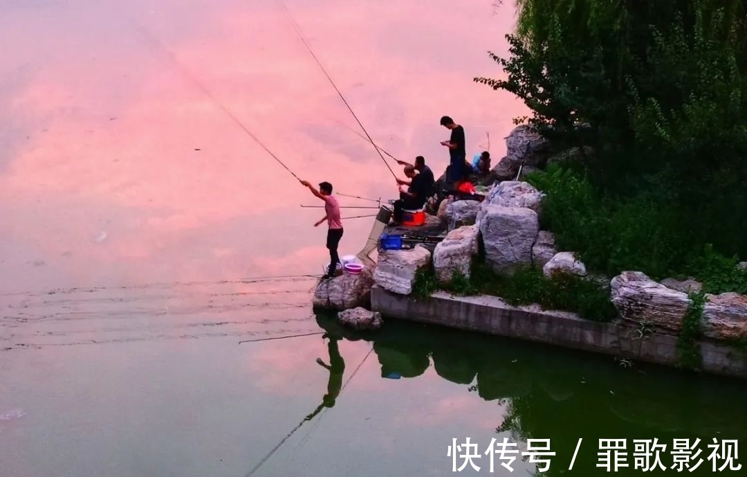 这9个地方都是鱼窝,大鱼都藏在这里,找到了就等着爆护吧!