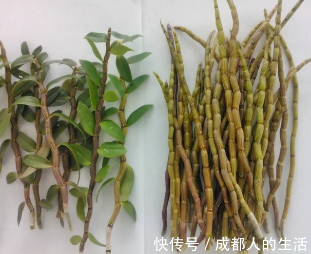 睡眠|男女不想老得快,每天喝一杯“它”,头发黑了,睡眠好了,试试